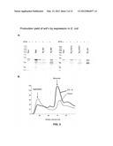 STABLE AND SOLUBLE ANTIBODIES INHIBITING TNF ALPHA diagram and image