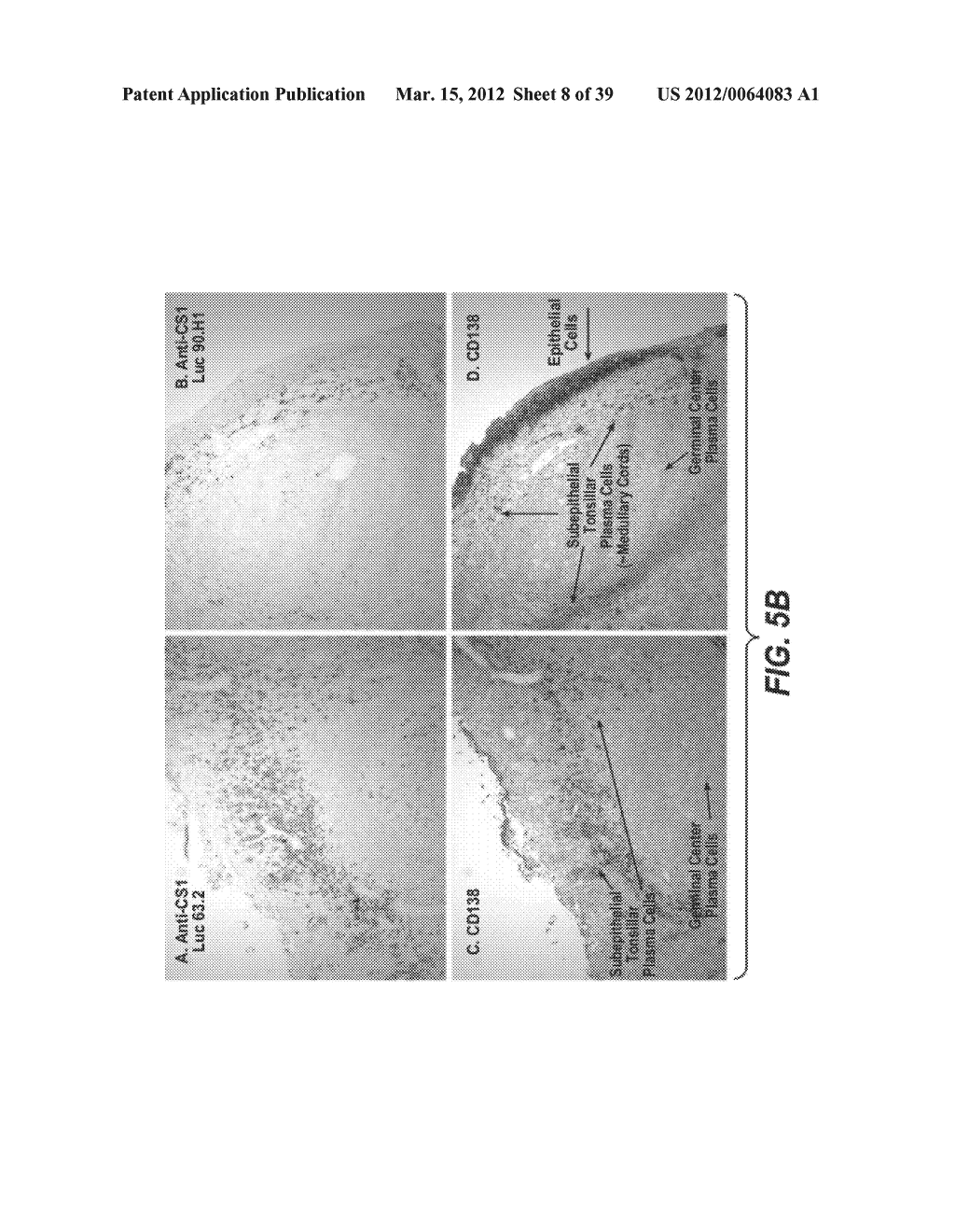 THERAPEUTIC USE OF ANTI-CS1 ANTIBODIES - diagram, schematic, and image 09