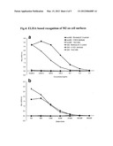 ANTI-INFLUENZA M2e ANTIBODY diagram and image