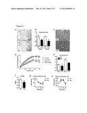 DYSFUNCTION OF THE MITOCHONDRIAL RESPIRATORY CHAIN, METHODS FOR DIAGNOSIS,     TREATMENT AND FOLLOW-UP diagram and image