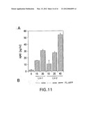 COMPOUNDS THAT INHIBIT NFKB AND BACE1 ACTIVITY diagram and image