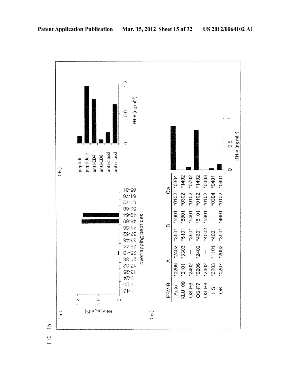 PEPTIDE INDUCING XAGE-1B-SPECIFIC IMMUNE REACTION AND UTILIZATION OF SAME - diagram, schematic, and image 16