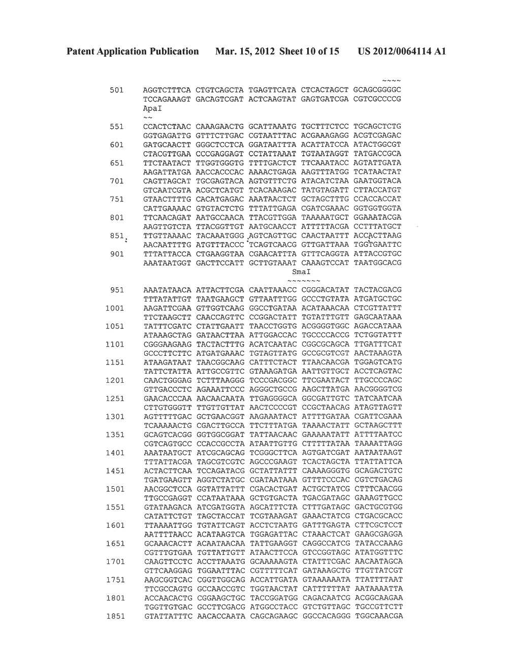 USE OF E. COLI SURFACE ANTIGEN 3 SEQUENCES FOR THE EXPORT OF HETEROLOGOUS     ANTIGENS - diagram, schematic, and image 11