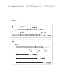 NEISSERIAL VACCINE COMPOSITIONS COMPRISING A COMBINATION OF ANTIGENS diagram and image