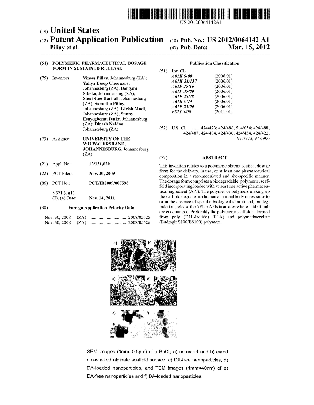 POLYMERIC PHARMACEUTICAL DOSAGE FORM IN SUSTAINED RELEASE - diagram, schematic, and image 01