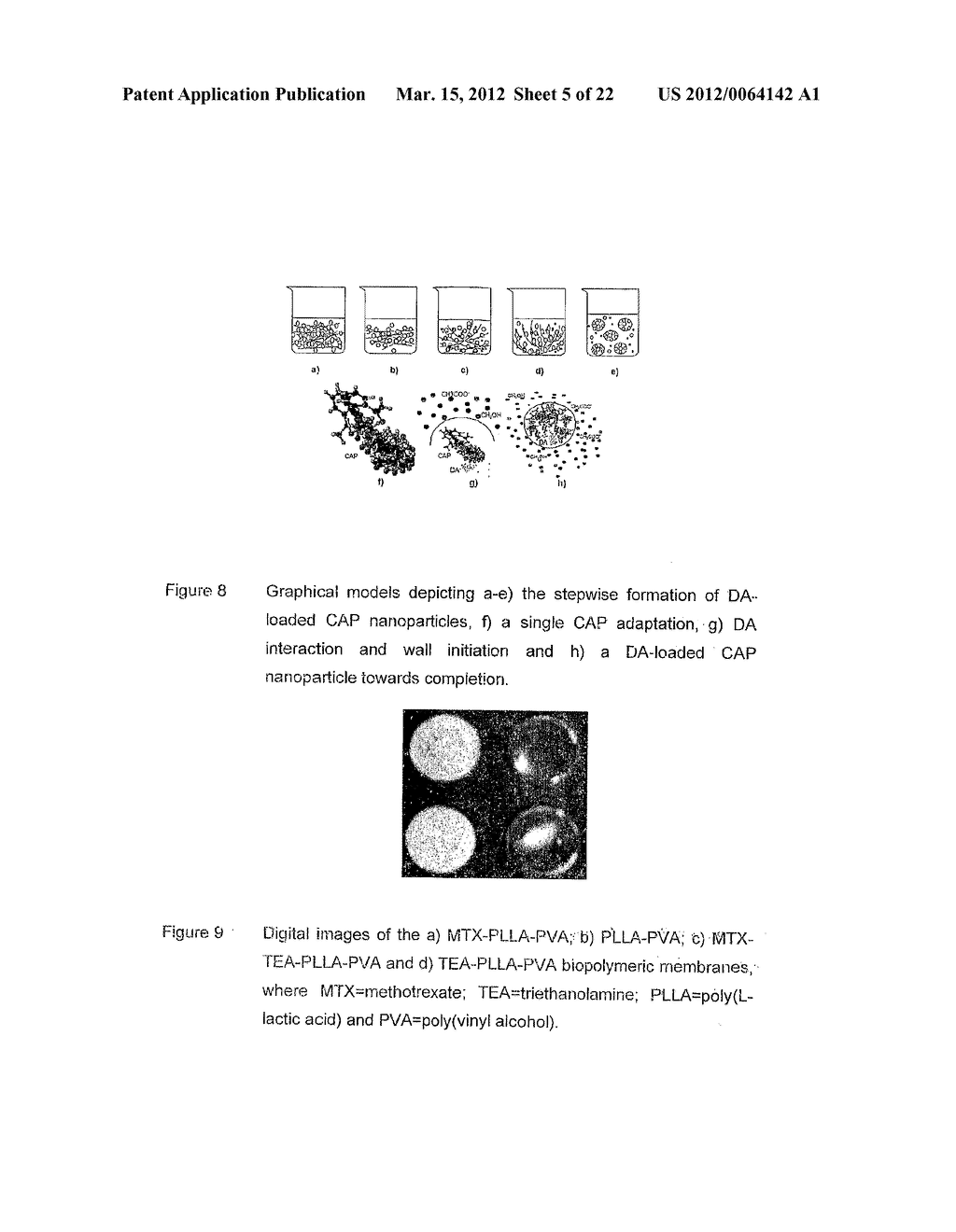 POLYMERIC PHARMACEUTICAL DOSAGE FORM IN SUSTAINED RELEASE - diagram, schematic, and image 06