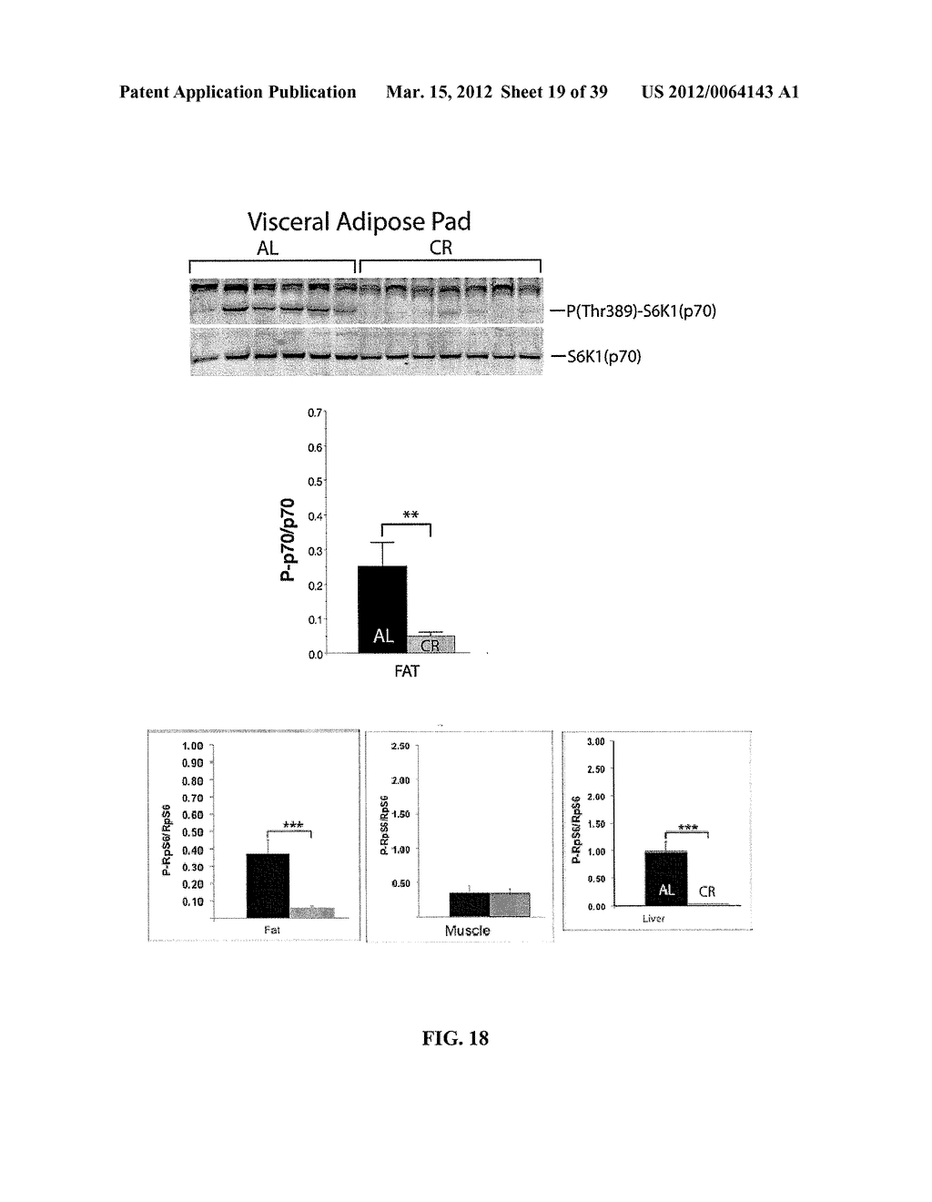 INHIBITION OF MAMMALIAN TARGET OF RAPAMYCIN - diagram, schematic, and image 20