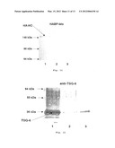 BIOCOMPATIBLE MATERIALS CONTAINING STABLE COMPLEXES OF TSG-6 AND     HYALURONAN AND METHOD OF USING SAME diagram and image