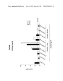 ENHANCED IMMUNE RESPONSE IN AVIAN SPECIES diagram and image