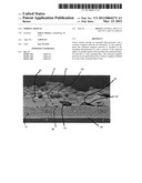 Porous Article diagram and image