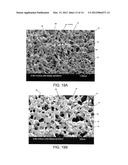 Porous Article diagram and image