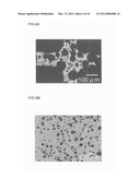 HONEYCOMB STRUCTURAL BODY diagram and image