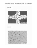 HONEYCOMB STRUCTURAL BODY diagram and image