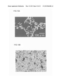 HONEYCOMB STRUCTURAL BODY diagram and image