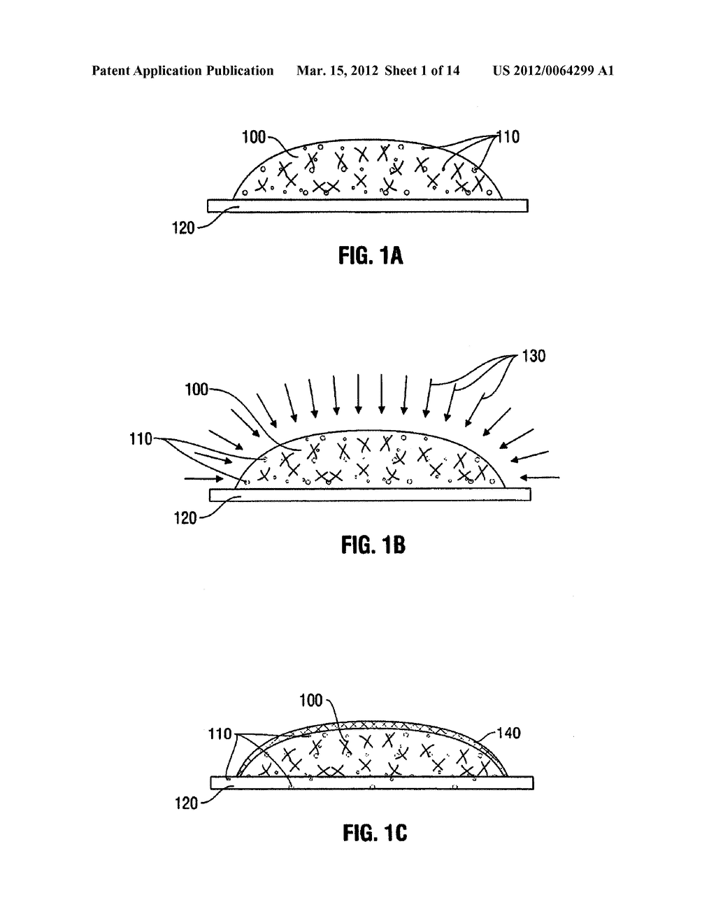 Hydrogel Implants with Varying Degrees of Crosslinking - diagram, schematic, and image 02