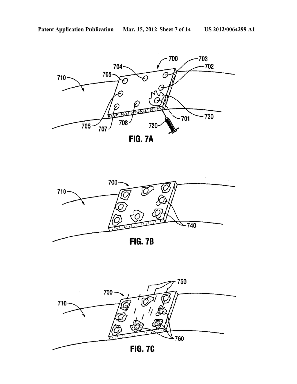 Hydrogel Implants with Varying Degrees of Crosslinking - diagram, schematic, and image 08