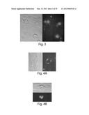 Methods, tip assemblies and kits for introducing material into cells diagram and image