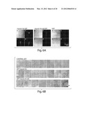 Methods, tip assemblies and kits for introducing material into cells diagram and image