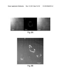 Methods, tip assemblies and kits for introducing material into cells diagram and image