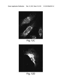 Methods, tip assemblies and kits for introducing material into cells diagram and image