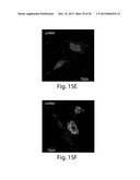 Methods, tip assemblies and kits for introducing material into cells diagram and image