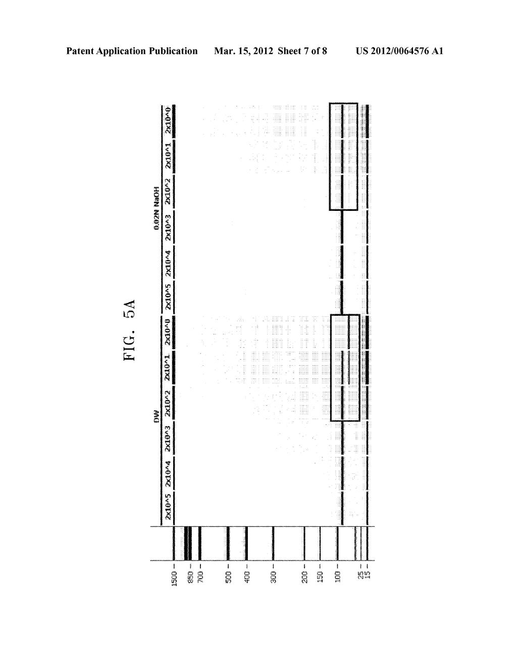 METHOD AND COMPOSITION FOR ENHANCING EFFICIENCY AND SENSITIVITY IN     POLYMERASE CHAIN REACTION - diagram, schematic, and image 08