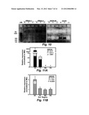 TERMITE ENZYMES AND USES THEREOF FOR IN VITRO CONVERSION OF     LIGNIN-CONTAINING MATERIALS TO FERMENTABLE PRODUCTS diagram and image