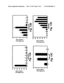 TERMITE ENZYMES AND USES THEREOF FOR IN VITRO CONVERSION OF     LIGNIN-CONTAINING MATERIALS TO FERMENTABLE PRODUCTS diagram and image