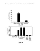 TERMITE ENZYMES AND USES THEREOF FOR IN VITRO CONVERSION OF     LIGNIN-CONTAINING MATERIALS TO FERMENTABLE PRODUCTS diagram and image