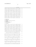 Nucleotide Sequences Encoding Alanine Racemase from Coryneform diagram and image