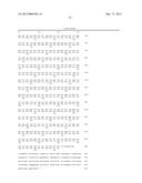 Nucleotide Sequences Encoding Alanine Racemase from Coryneform diagram and image