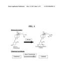 BUFFER COMPOSITION FOR CATALYZING THE PREPARATION OF CALCITRIOL OR     CALCIFEDIOL AND METHOD FOR PREPARING CALCITRIOL OR CALCIFEDIOL USING SAME diagram and image