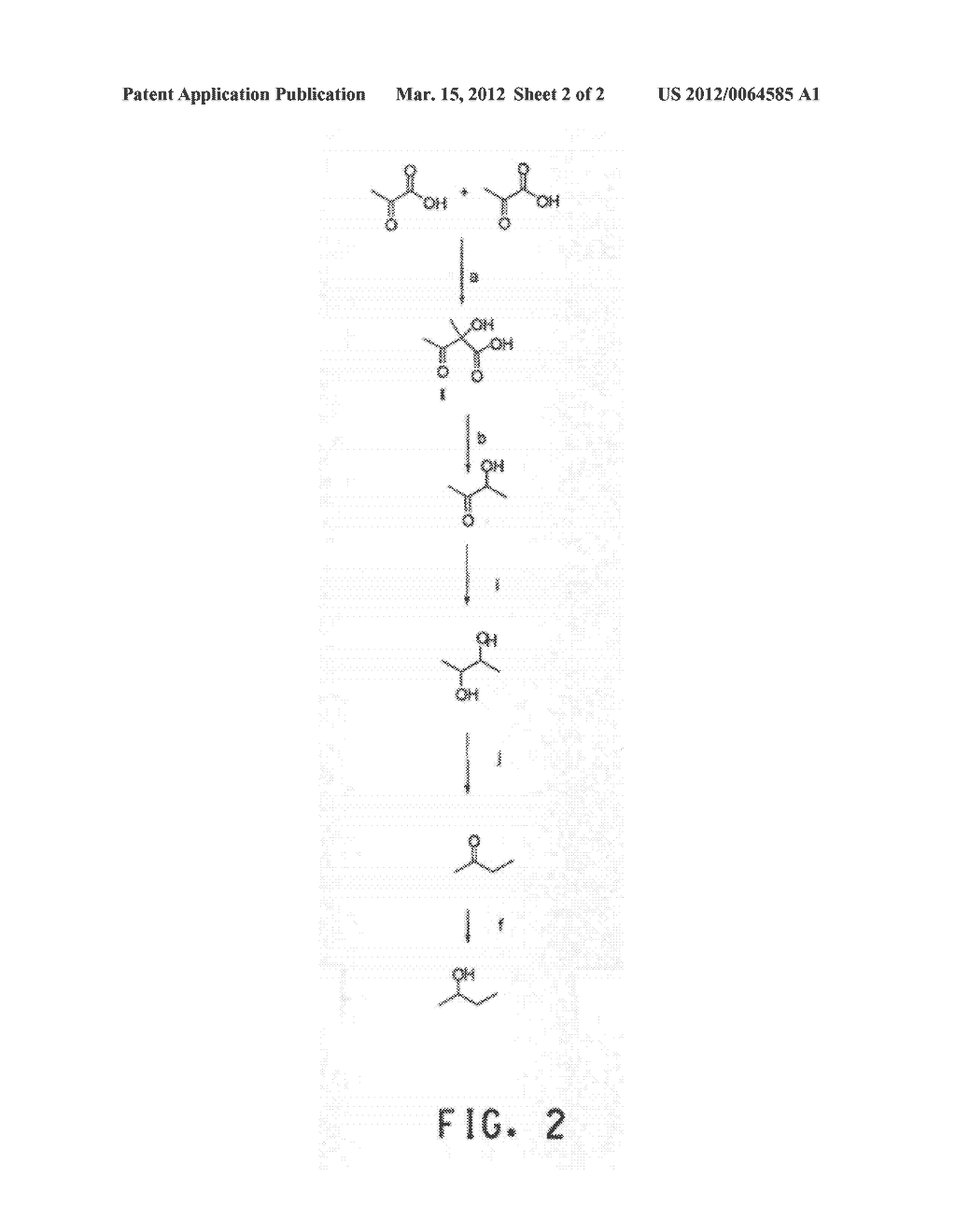 Increased Heterologous Fe-S Enzyme Activity in Yeast - diagram, schematic, and image 03