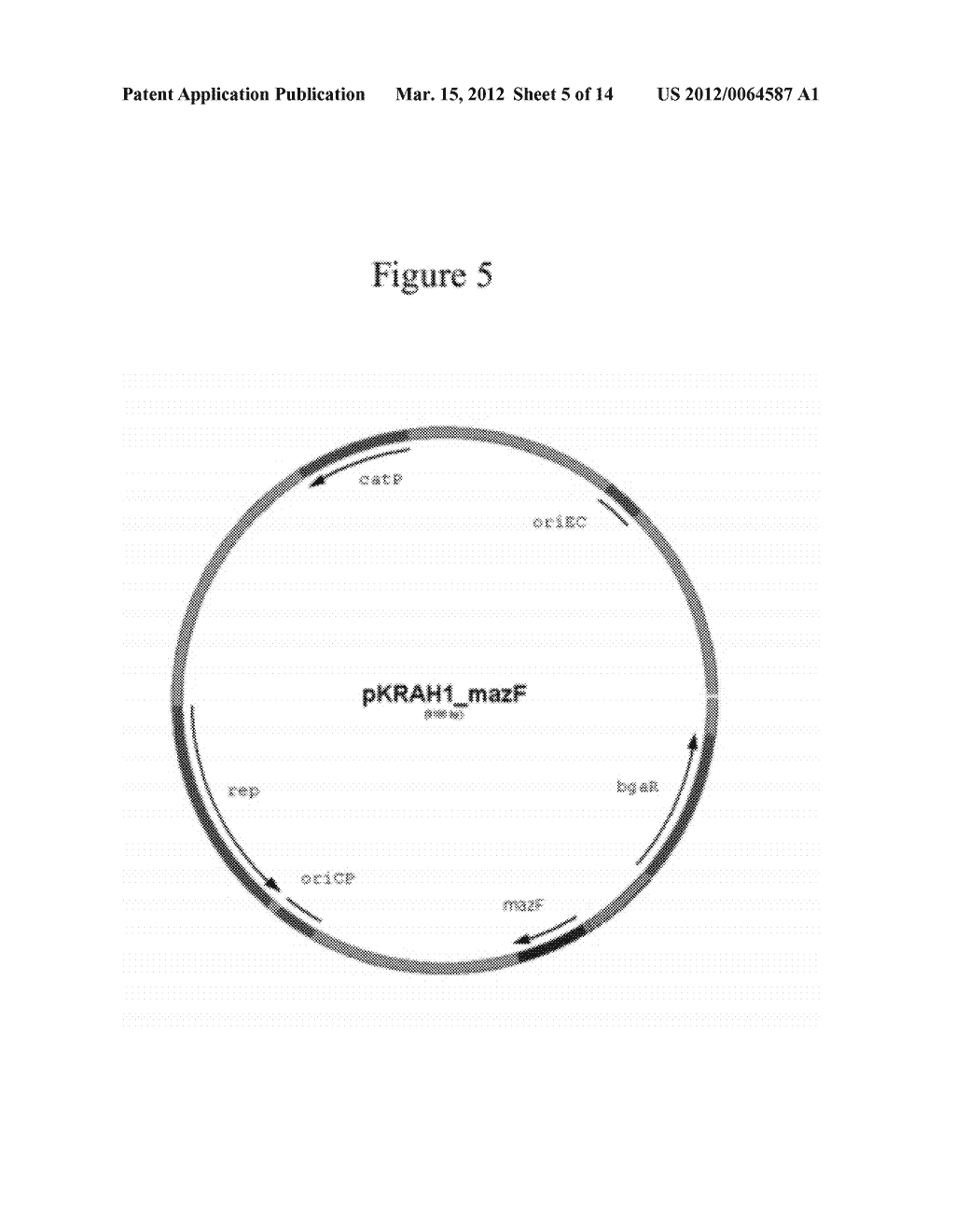 RECOMBINANT CLOSTRIDIA THAT FIX CO2 AND CO AND USES THEREOF - diagram, schematic, and image 06