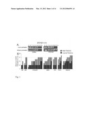 RECOMBINANT YEAST WITH IMPROVED ETHANOL TOLERANCE AND RELATED METHODS OF     USE diagram and image