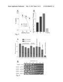 RECOMBINANT YEAST WITH IMPROVED ETHANOL TOLERANCE AND RELATED METHODS OF     USE diagram and image