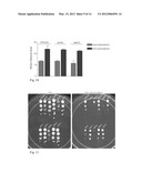 RECOMBINANT YEAST WITH IMPROVED ETHANOL TOLERANCE AND RELATED METHODS OF     USE diagram and image