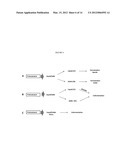 BIOCATALYSTS SYNTHESIZING DEREGULATED CELLULASES diagram and image