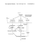 BIOCATALYSTS SYNTHESIZING DEREGULATED CELLULASES diagram and image