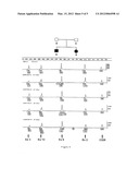 Mutation of the parkin gene, compositions, methods and uses diagram and image