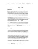 ANTI-5T4 ANTIBODIES AND USES THEREOF diagram and image