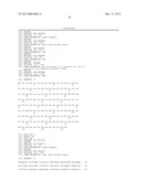 ANTI-5T4 ANTIBODIES AND USES THEREOF diagram and image