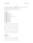 ANTI-5T4 ANTIBODIES AND USES THEREOF diagram and image