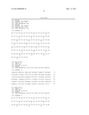 ANTI-5T4 ANTIBODIES AND USES THEREOF diagram and image