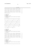 ANTI-5T4 ANTIBODIES AND USES THEREOF diagram and image