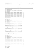 ANTI-5T4 ANTIBODIES AND USES THEREOF diagram and image