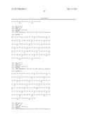 ANTI-5T4 ANTIBODIES AND USES THEREOF diagram and image