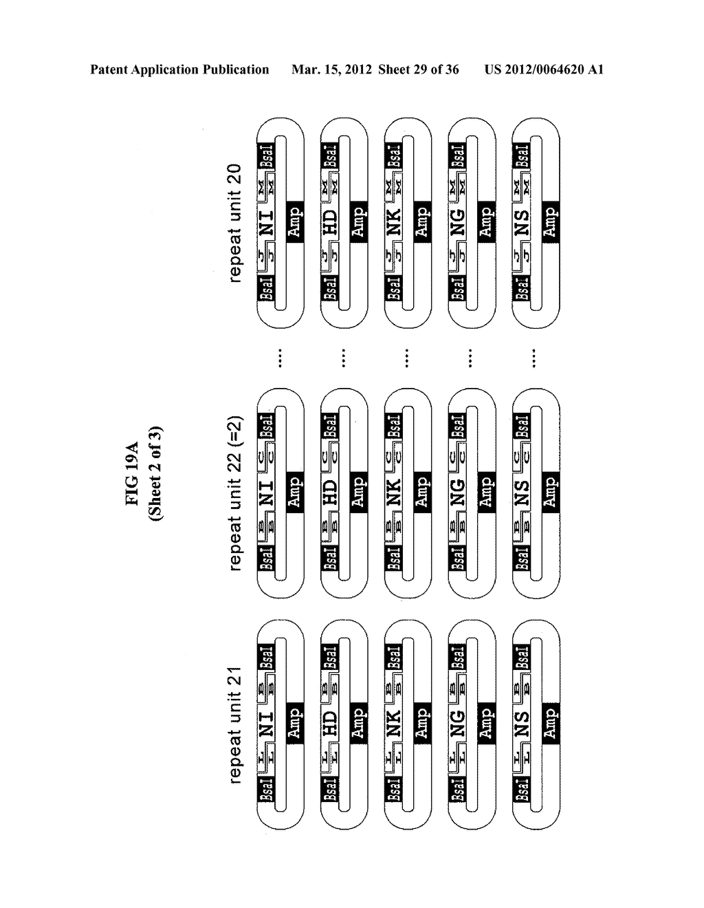 MODULAR DNA-BINDING DOMAINS AND METHODS OF USE - diagram, schematic, and image 30