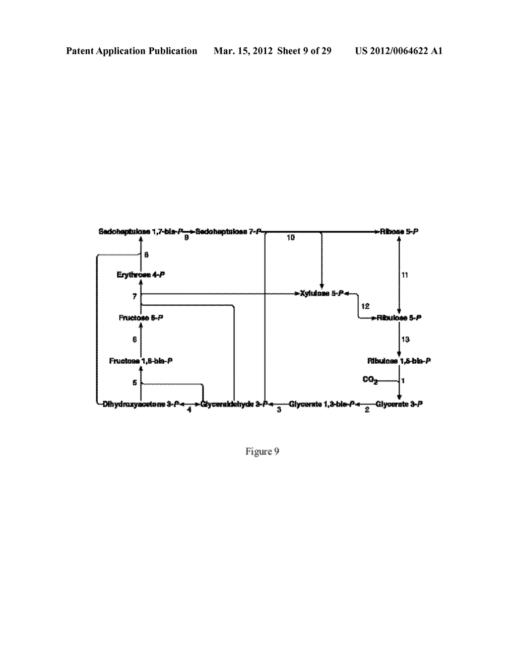 Methods and Systems for Chemoautotrophic Production of Organic Compounds - diagram, schematic, and image 10