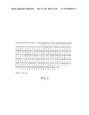 Nucleic Acids, Polypeptides, Compositions, and Methods for Modulating     Apoptosis diagram and image